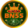 bn55-online-earning-app-latest-2025-free-online-earning-app